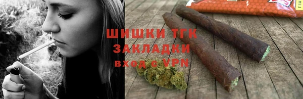 мдпв Осинники