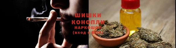 ПСИЛОЦИБИНОВЫЕ ГРИБЫ Алексеевка