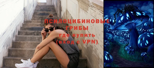 СК Алзамай
